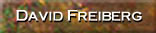 DAVID FREIBERG